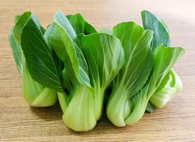 瓢儿菜